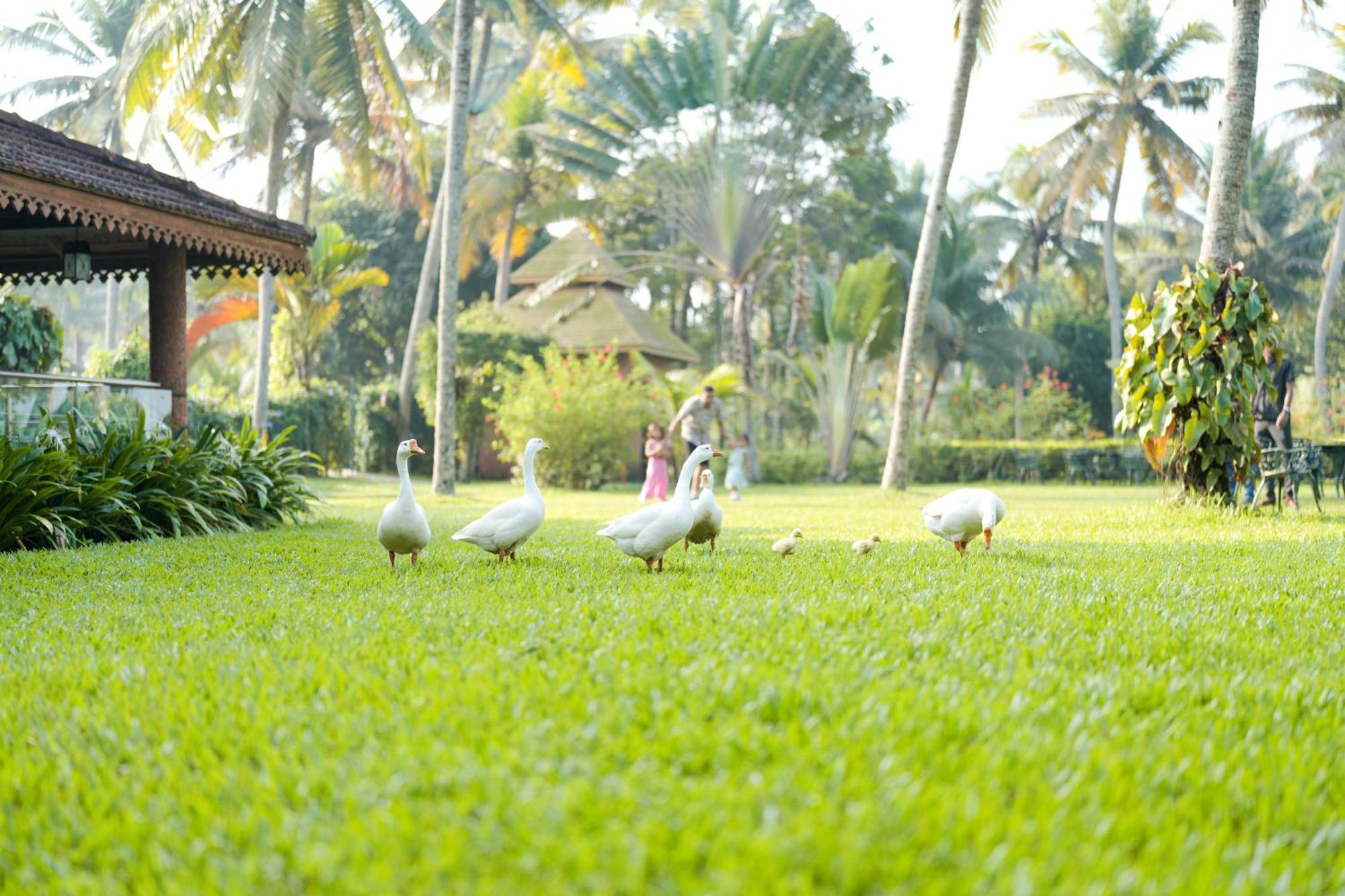 Lakesong Resort Kumarakom Kültér fotó